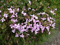 Rila National Park - Impressionen