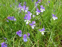 Rila National Park - Impressionen