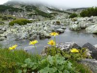 Rila National Park -  7 Seen 