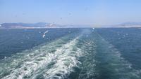 0099 Izmir - Auslaufen der AIDAaura