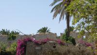 0766 Rhodos - Stadtrundgang - Stadtmauer
