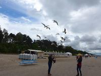 Lettland, Jürmala, Strand