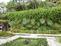 im Botanischen Garten Funchal