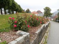 Bergen