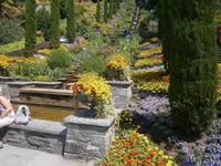 Wasserterasse mit Blumen