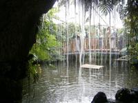 Blick aus der Grotte auf den Teich