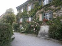 Viel Grün und Blumen