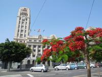 Inselhüpfen auf den Kanaren - Teneriffa - Santa Cruz de Tenerife