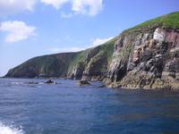 Auf der Suche nach Funghie, einem Delfin, in Dingle