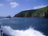 Auf der Suche nach Funghie, einem Delfin, in Dingle