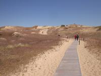 Düne auf der Kurischen Nehrung
