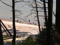 Reisegäste auf der Suche nach Bernstein