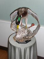 Gestaltung vom Baron von Münchhausen