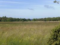 Panoramablick auf der Insel Saaremaa