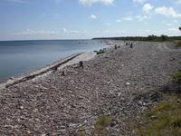 Panoramablick auf der Insel Saaremaa