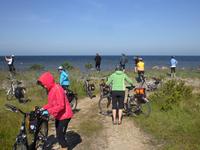 Fotostopp auf Saaremaa