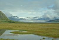 Auf dem Weg nach Vik