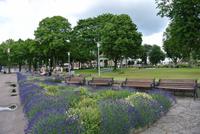 Borkholm auf der Insel Öland