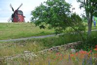 Mündmühle beim Felsenstrand auf Öland