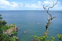 Hellingdomklippen auf Bornholm