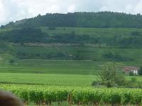 Ausflug nach Beaune durch Weinberge 