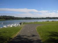 Linlithgow Lake
