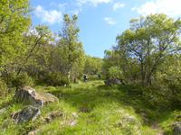 Wanderung am Moysalen-Nationalpark