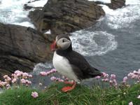 in Position gebracht fürs Foto