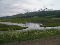 Pferdeausflug in Akureyri