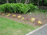 Botanischer Garten in Akureyri