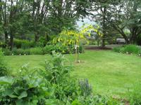 Botanischer Garten in Akureyri