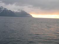 Walbeobachtung mit Ambassador bei Akureyri