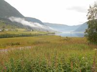 Fahrt von Sogndal nach Fjærland (Selsengvatn)