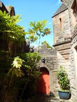 Ruhe und Besinnlichkeit am Belfast Castle