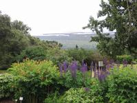 Botanischer Garten in Akureyri