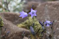 Spaziergang am Gletscher im Nationalpark Skaftafell