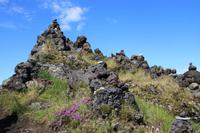 Steinwarten am Lavafeld