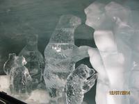 Unser Ausflug zum Jungfraujoch