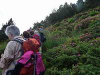 Tag - Wanderung im Tal Incles und zum Port Dret