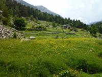 Refugi - Schutzhütte im Madriu Tal