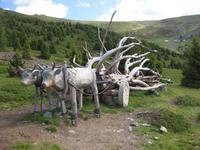 Ochsenkarren aus Holz 