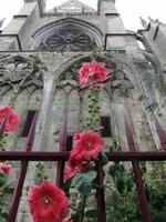 Reims. Abteikirche St.-Remi