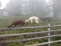 An der Bergstation der Rosskopf-Seilbahn