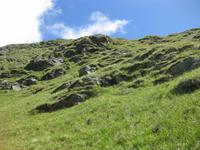 Auf dem Weg zur Flecknerspitze - ein Blick nach oben