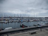 DSCN8339