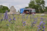 Steinkreis von Gettlinge: Tages-Etappen-Ziel