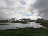 Gletscher Hardangerjokülen