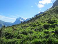 Fahrt zum Jungfraujoch