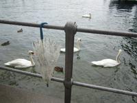 Luzern, Vierwaldstättersee