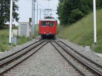 Mit der Dampfbahn auf die  Rigi
